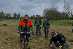 Pflanzung von Großen Wiesenknöpfen 1; Foto: Alexandra Budak