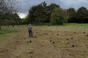 Pflanzung von Großen Wiesenknöpfen 2; Foto: Alexandra Budak