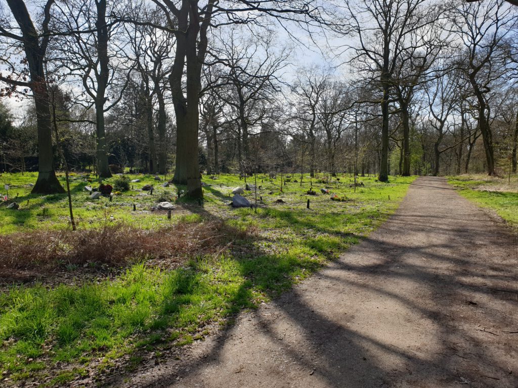 Friedhof Lohmannsheide
