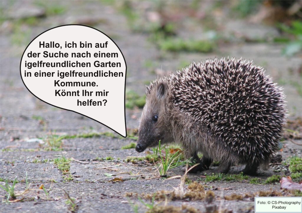 Igel